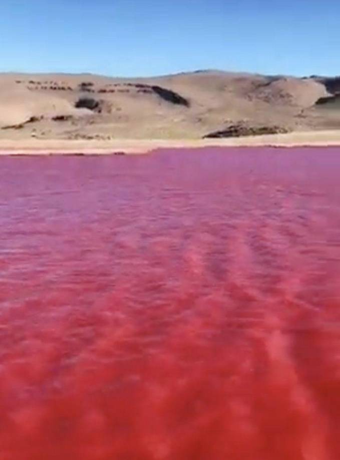 Según el versículo 17 que se encuentra en el capítulo 7 del libro de Éxodo en la biblia, Moisés (profeta del judaísmo) golpeó con su bastón el río Nilo y eso provocó que el agua se conviertiera en sangre. “Así ha dicho Jehová: ‘En esto conocerás que yo soy Jehová: He aquí, yo golpearé con la vara que tengo en mi mano el agua que está en el río, y se convertirá en sangre’”.