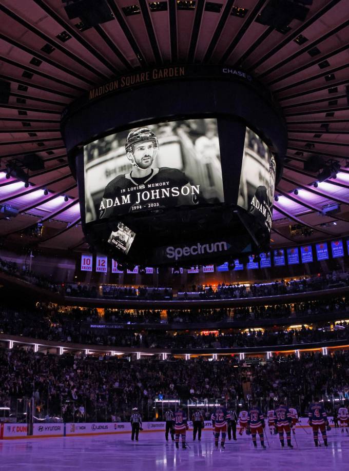 Antes de recalar en el Reino Unido, Johnson jugó anteriormente en la Liga Nacional de Hockey de Norteamérica (NHL), donde disputó 13 partidos con los Pittsburgh Penguins.