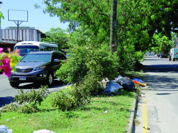 Al recorrer la avenida Júnior se observa el descuido de las medianas, igualmente en la Circunvalación, bulevar Los Próceres, segundo anillo, Jardines del Valle y otros sectores, tal como lo muestran las gráficas captadas por LA PRENSA.