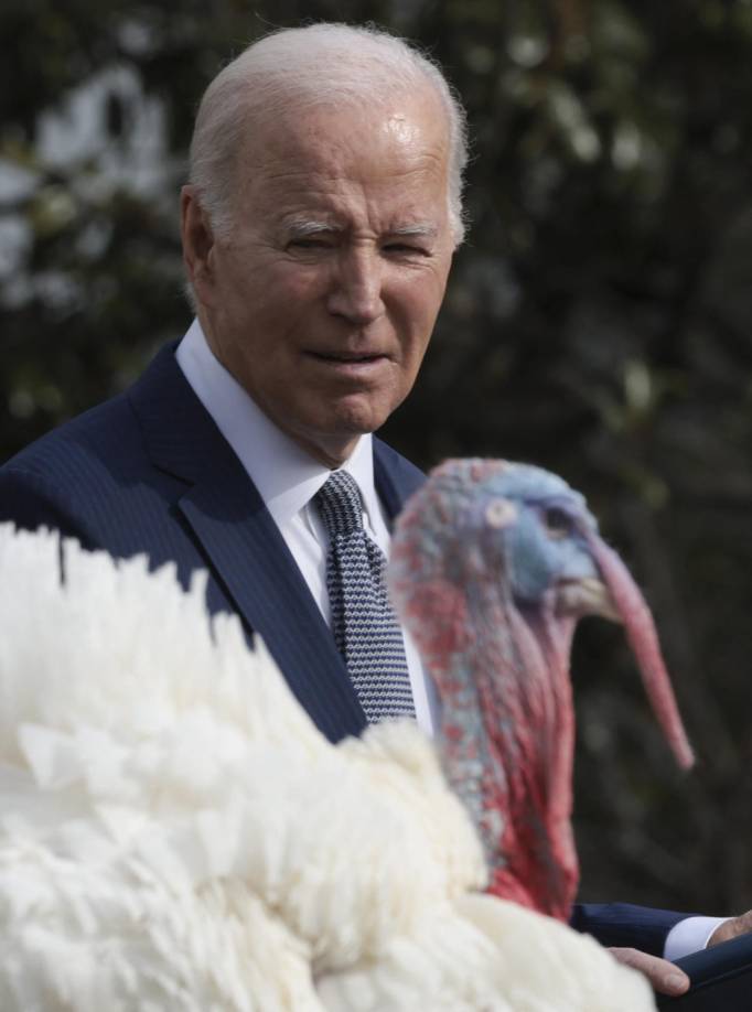 La tradición de los pavos en la Casa Blanca se remonta a 1947, cuando la Federación Nacional del Pavo regaló una pareja de ejemplares al presidente Harry Truman (1945-1953).