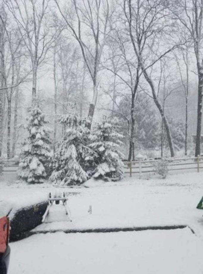 Carlos Hernández compartió esta imagen desde Connecticut.