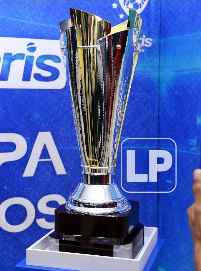 La Copa fue elaborada a mano con acabado de plata galvanizado de argento y dorada de 24 kilos, con un cuerpo metálico y base de madera.