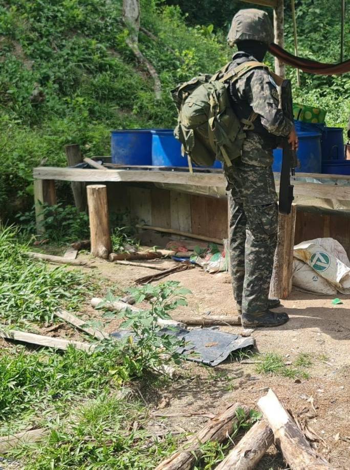 Desmantelan narcolaboratorio y plantación de coca en Olancho