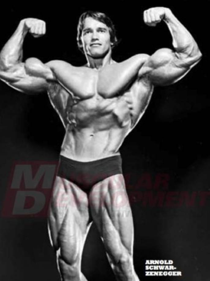 Pero antes de conquistar la taquilla y la política, este hombre que nació en Austria se destacó en el mundo del fisicoculturismo. Arnold Schwarzenegger fue cinco veces Mister Universo y siete veces Mister Olympia.