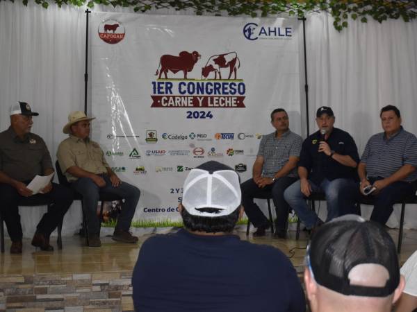 Los representantes de las organizaciones de ganaderas del país harán en La Ceiba el lanzamiento oficial del Primer Congreso de Carne y Leche a desarrollarse en Siguatepeque en el próximo mes de mayo.