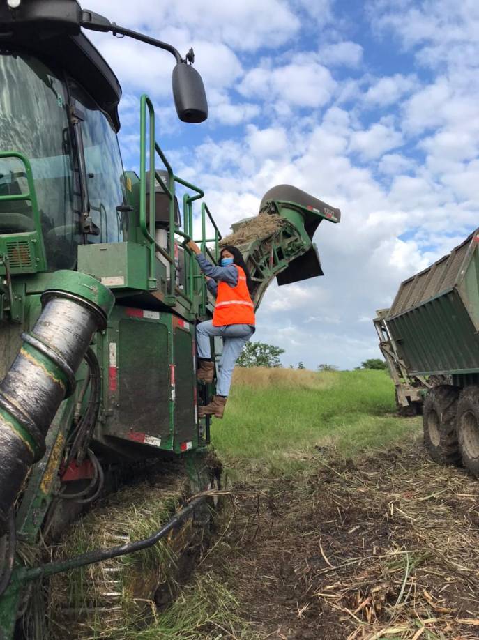 Hoy en día refuerza conocimientos con implemento de preparación de suelo de la maquinaria agrícola.