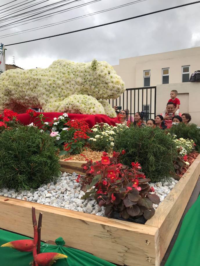 La Junta Directiva de CANATURH Siguatepeque, en colaboración con el pueblo, empresas locales y nacionales, así como productores de flores y artesanos, invita a todos los hondureños, familias, empresarios, deportistas y artistas a participar.