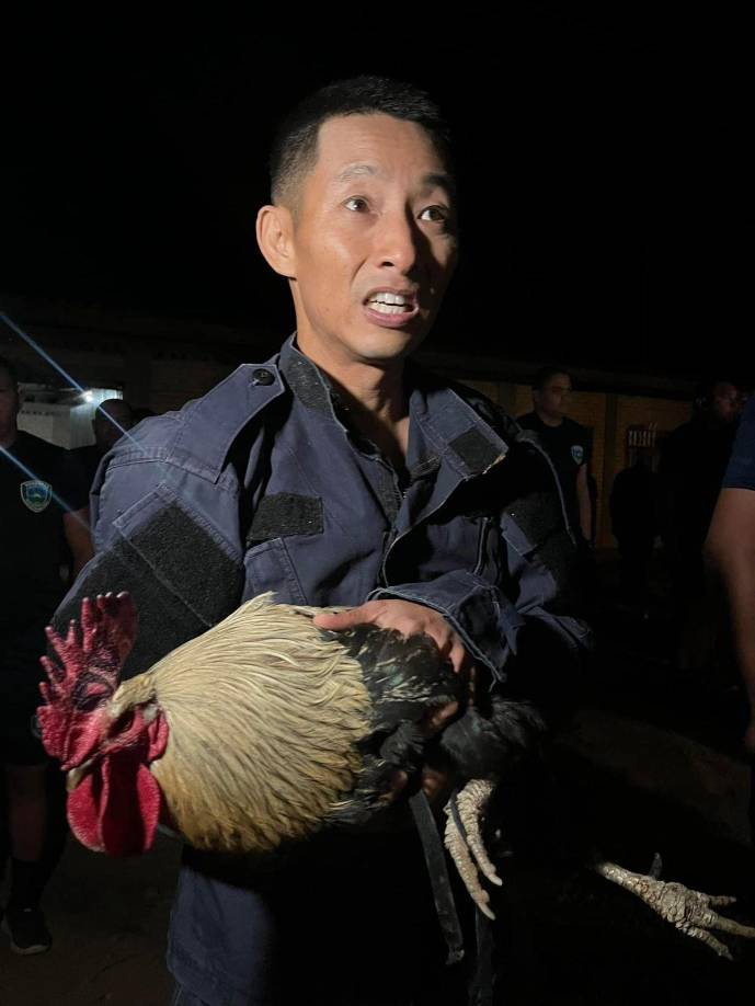 “Mi compañero para este 14 de febrero en Los Cobras”, publicó el youtuber en otro post. 