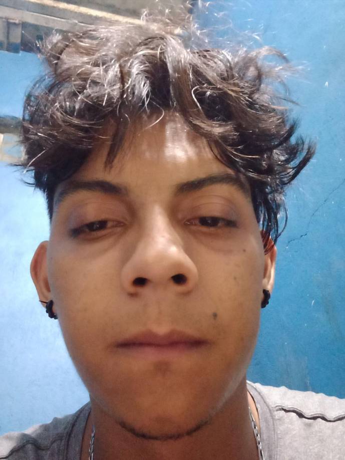 El secretario de Seguridad, cuando se encontraba en la base aérea Hernán Acosta Mejía, tras la recuperación de los cuerpos en un helicóptero a causa del inhóspito terreno en el que fueron encontrados, dijo: “Aquí hay que hablar lo que sucedió: una estructura criminal, sin justificación, raptó a cinco personas y podemos afirmar que asesinó a cuatro de ellas”.