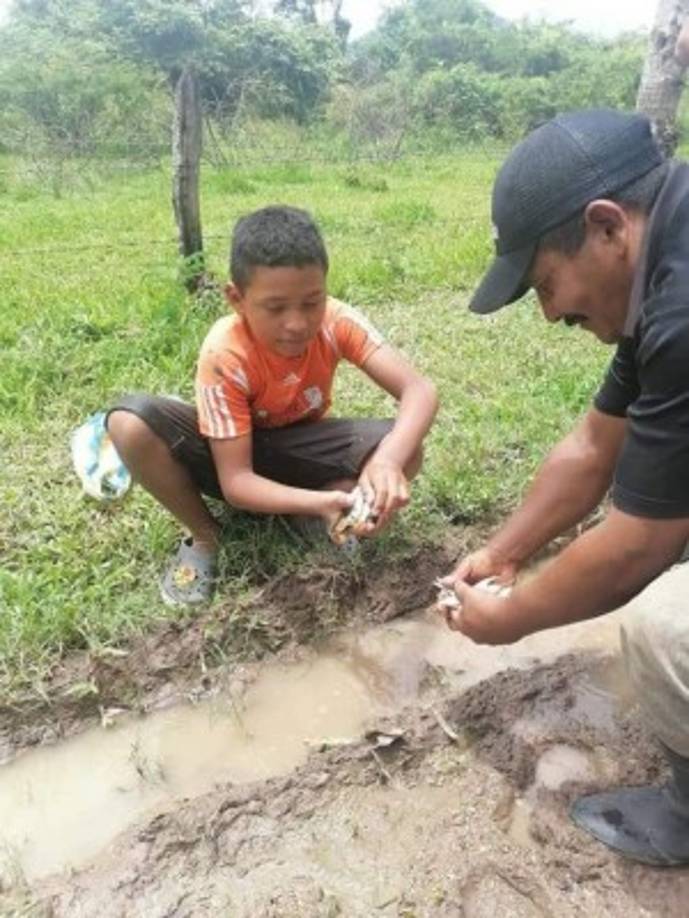 Lucio Pérez, vecino de la comunidad, asegura que este año, tras la madrugada, se encontró con los peces plateados que 'se dejaron venir desde las nubes'.