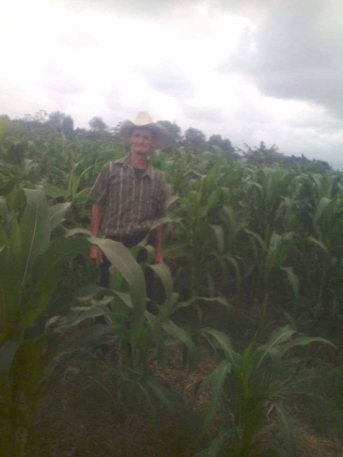 Don Fernando era conocido en la aldea La Sarrosa como una persona trabajadora. Acá en una de las milpas que sembró en la zona.