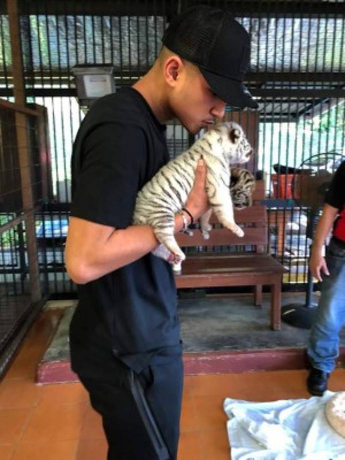 El joven futbolista llegó a gastar 35 millones de dólares en un mes entre autos de lujo, relojes y accesorios de oro blanco, informó el periódico inglés Mirror.