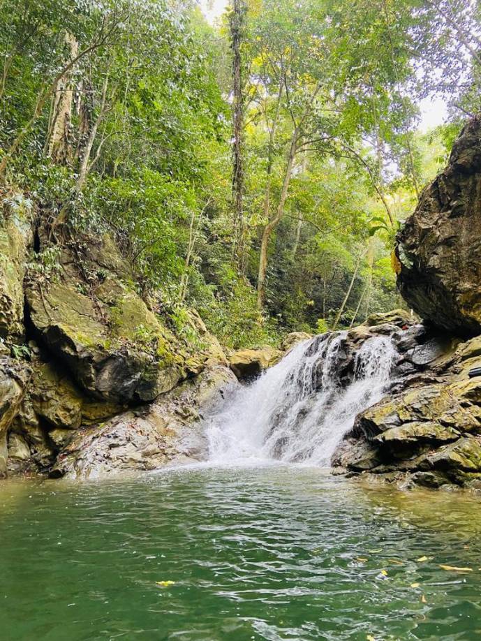 En este lugar las personas pueden realizar <b>senderismo</b>, camping y disfrutar de sus ricas caídas de agua. Cabe mencionar, que esta reserva alrededor de 147 especies de animales; en donde abundan grandes cantidades de insectos.