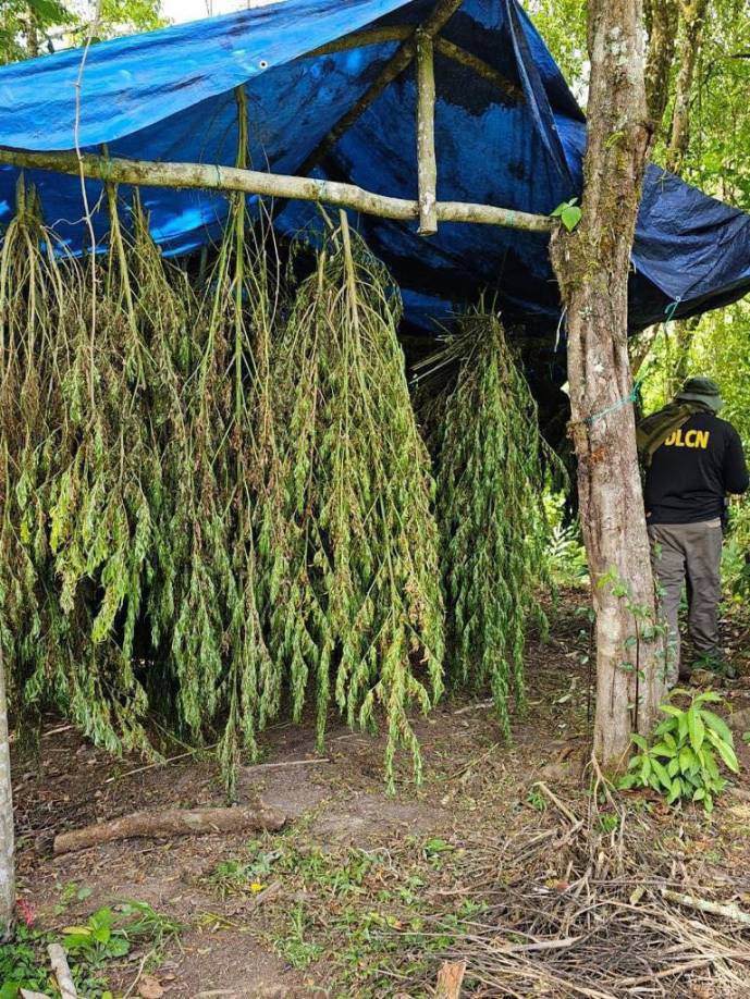 Los agentes, al inspeccionar toda la casa, encontraron un saco de mescal blanco, el cual tenía en su interior supuesta marihuana.