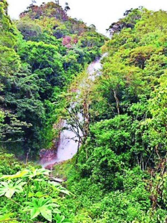 Reserva Biológica El Güisayote. Situada en Ocotepeque, es el nacimiento de una laguna de tonalidad verde esmeralda y de importantes ríos que se extienden por diferentes municipios del país.
