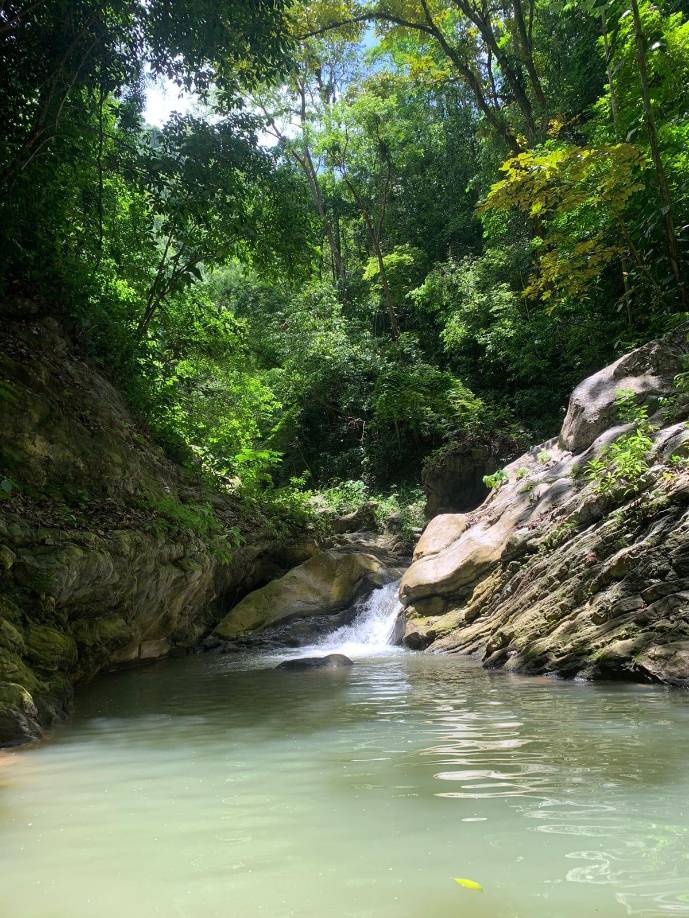 La <b><a rel="nofollow noopener noreferrer" href="https://www.hondurastips.hn/2016/04/08/declaran-como-refugio-silvestre-la-montana-de-mico-quemado/" target="_blank"> </a>Reserva Mico Quemado</b> es un impresionante lugar para los amantes de las aventuras y el medio ambiente, se caracteriza por su abundante naturaleza, flora y fauna, en donde podrán disfrutar de una bella caída de aguas cristalinas, en un ambiente sano y seguro.