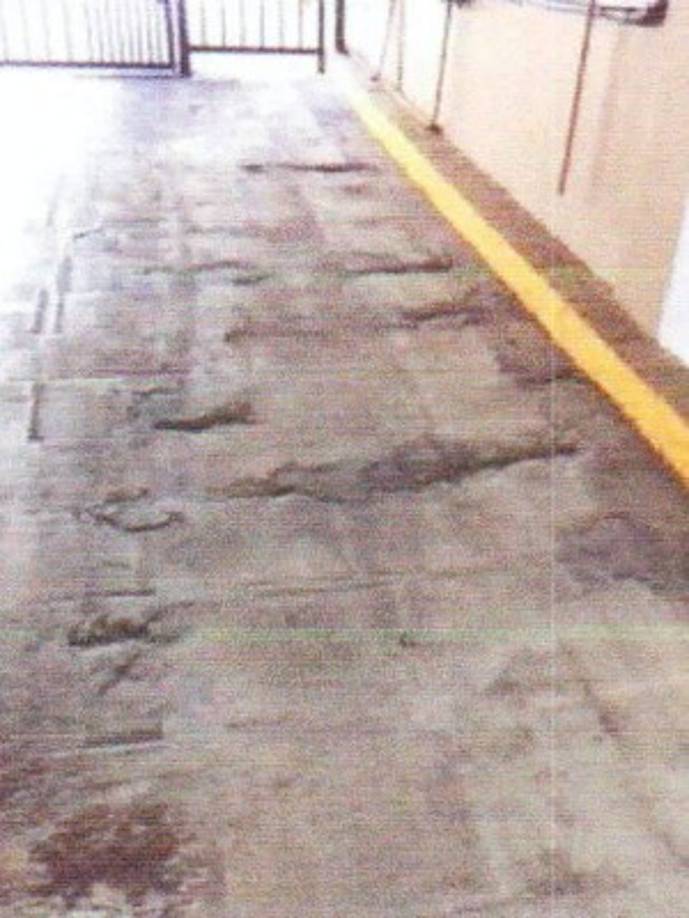 Desde 2018 'el deterioro del hormigón se ha acelerado, el estado del techo ha empeorado considerablemente', alertó Jean Wodnicki, presidente de la asociación de copropietarios, en la misiva.