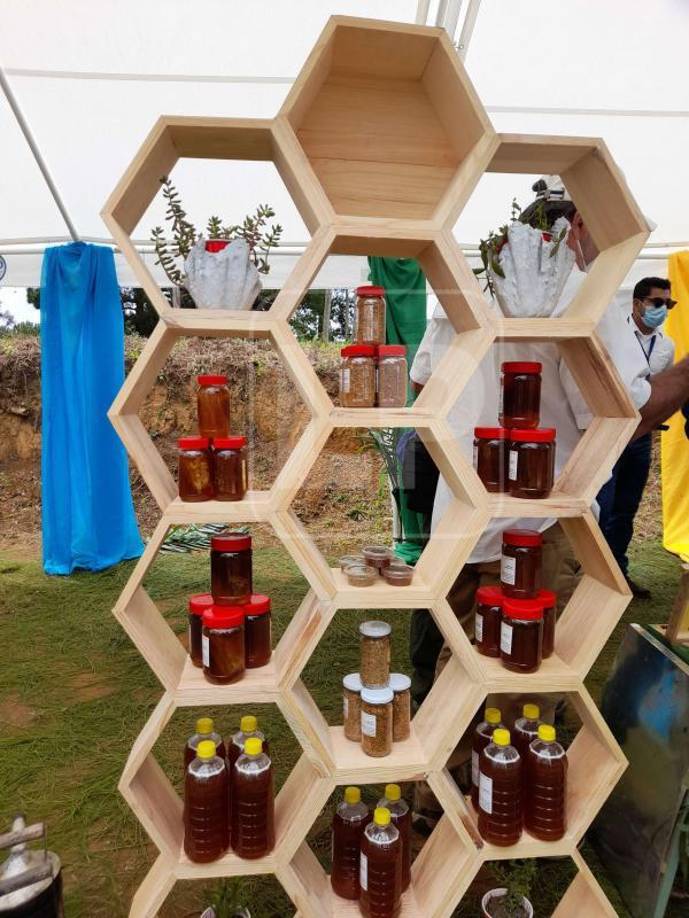 Alicia Medina, oficial a cargo de la Organización de las Naciones Unidas para la Alimentación y la Agricultura (FAO por su siglas en inglés), expuso que en la agencia trabajan con diferentes socios como la Unión Europea, Estados Unidos, Canadá, México