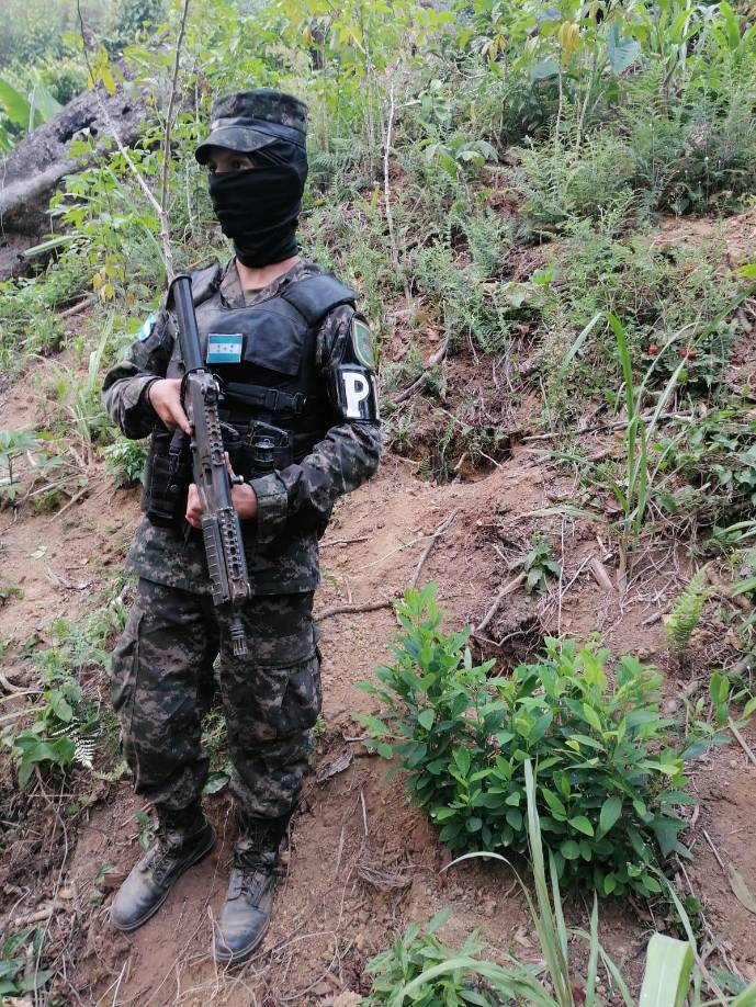  En la operación también se ubicó un narcolaboratorio para producción de pasta de coca encontrando precursores químicos.