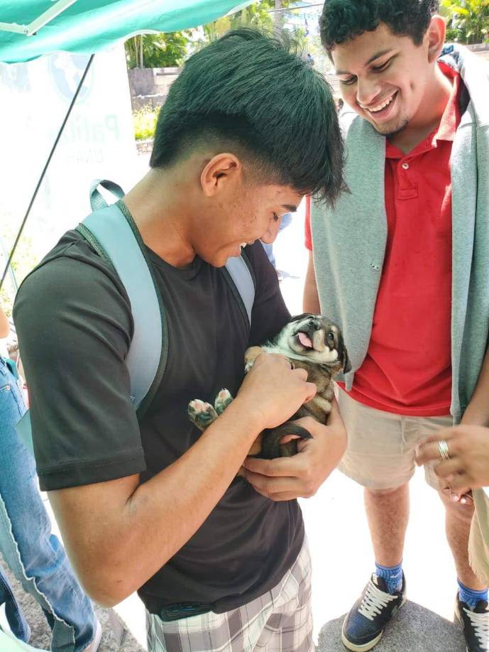 Por otro lado, Patitas UNAH CU busca tener un espacio propio en la universidad para tratar a los animales que sufran algún accidente o enfermedad, “se tiene planes de gestionar con las autoridades universitarias un pequeño espacio, el cual podamos condicionar para albergar a los animales cuando sufran algún accidente o tengan alguna operación y así poder atenderlos y cuidarlos hasta que se recuperen”. 