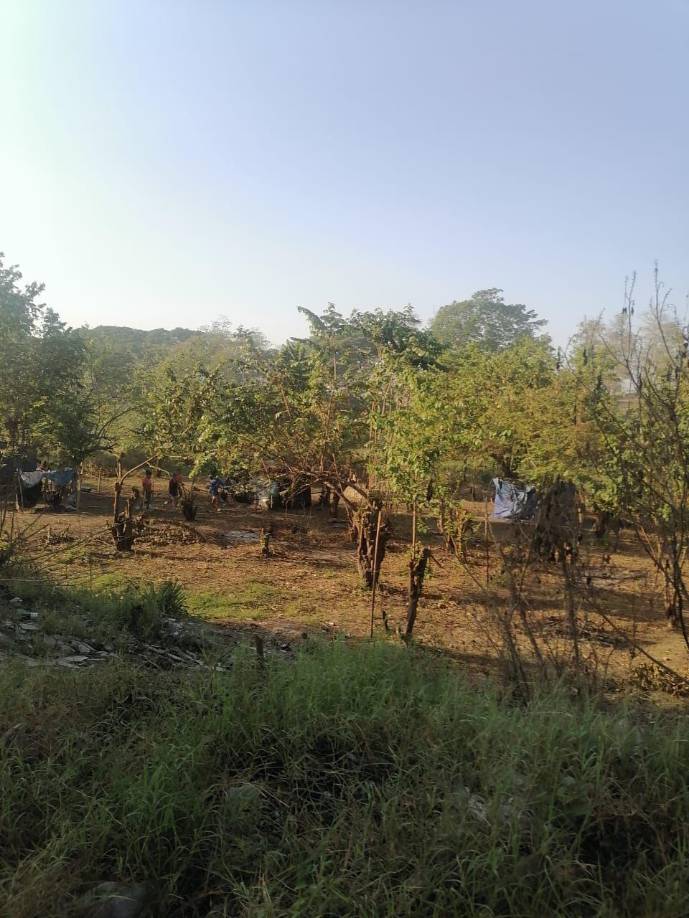 En los próximos días se procederá a desalojar personas que han construido en una reserva del cerro Campisa anunciaron.