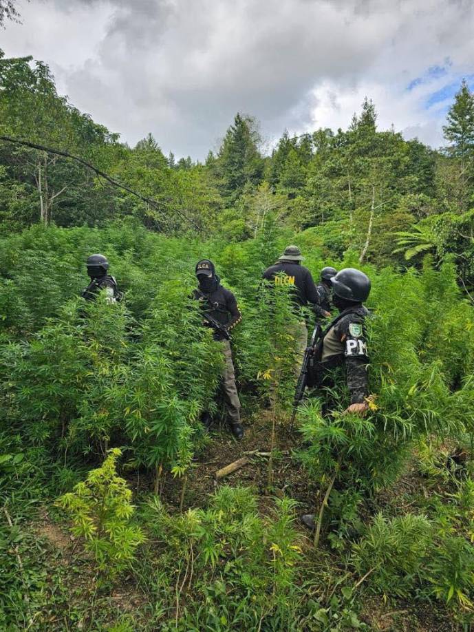 Según el informe investigativo de la Dirección Policial de Investigaciones (DPI), el miércoles 16 de septiembre de 2020, a las 6:00 de la mañana, funcionarios policiales ejecutaron un allanamiento de morada por orden judicial en una casa ubicada en la aldea los Almendros, Jamastrán, Danlí, departamento de El Paraíso.