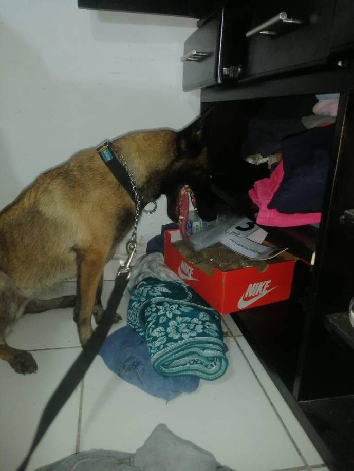 En Honduras, Manuel Armando Villeda, alias El Primo, es un presunto cabecilla de una banda criminal que opera en el occidente del país, según las autoridades.