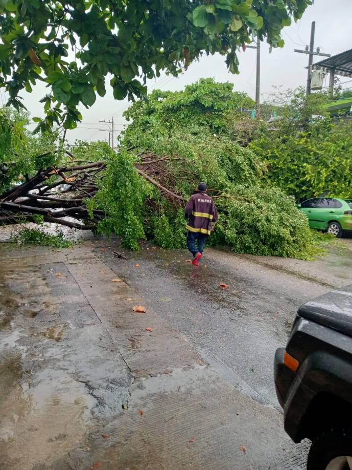Además de Blas, el organismo vigila una zona de baja presión localizada al sur de Chiapas con 80 % de probabilidad de desarrollo ciclónico en el pronóstico a 48 horas.