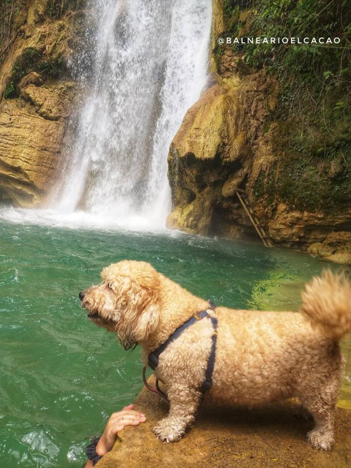 Además, es “pet friendly”, siempre que los animalitos estén bajo el cuidado y responsabilidad de sus dueños, pero no es permitido bañarlos en la cascada.