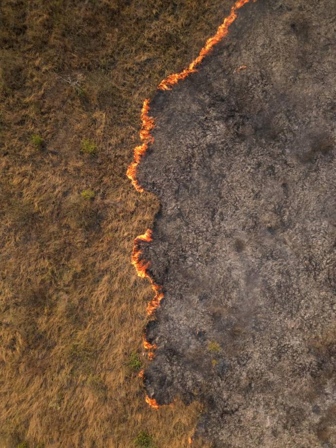 De su lado, la ministra de Medio Ambiente de Brasil, Marina Silva, alertó de que el Pantanal se enfrenta a “una de las peores situaciones nunca vistas”.