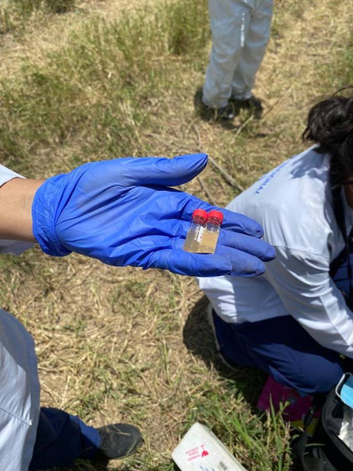 Un equipo especializado realizó pruebas de campo correspondientes y se determinó que la sustancia líquida corresponde a Metilamina, siendo este un gas incoloro derivado del amoníaco mismo que es utilizado para la producción de Metanfetamina.