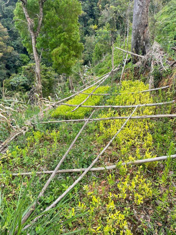 En el sitio no se hallaron personas y no se han reportado detenciones relacionadas con los operativos. 