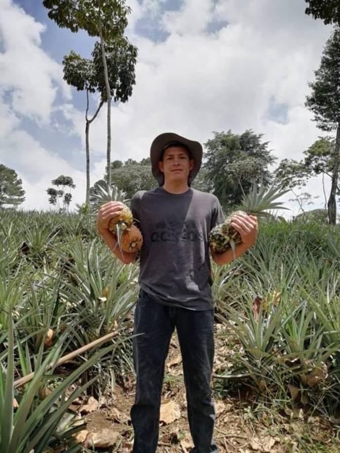 Así se ganó la vida en los últimos años Francisco Martínez, hoy nuevo jugador del Marathón