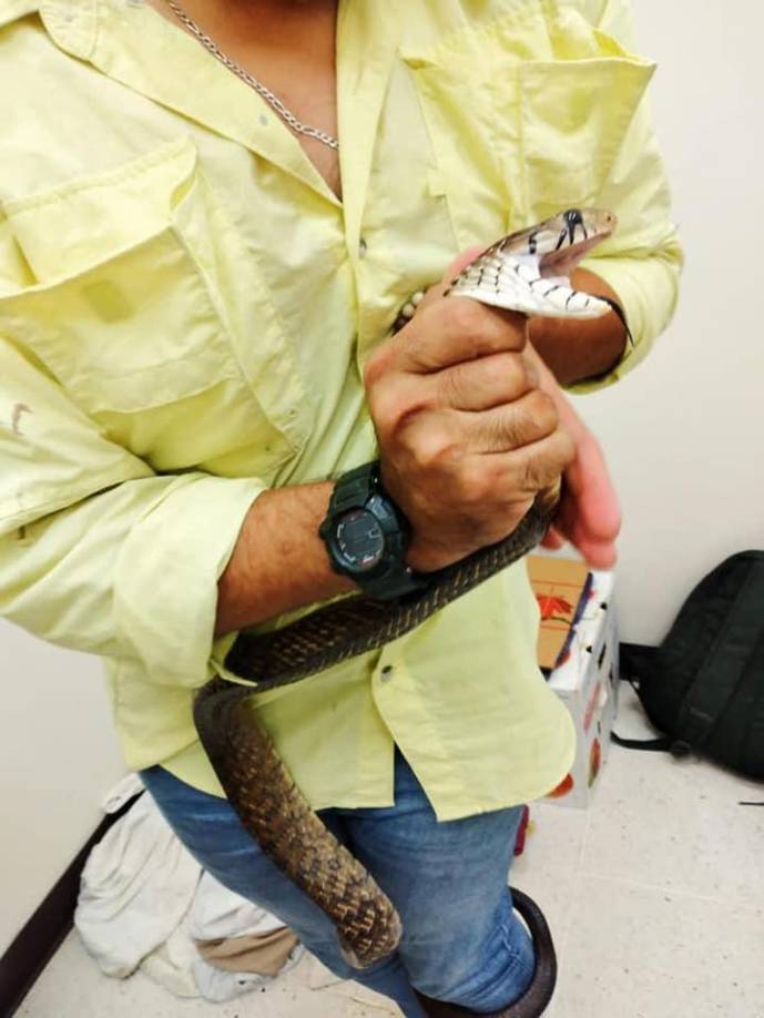 El detenido de 52 años, de oficio mecánico industrial, iba a bordo de un autobús de una ruta interurbana que se dirigía al departamento de Choluteca.