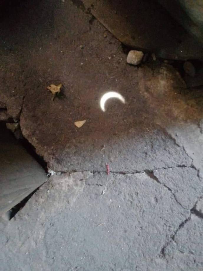 4. Otro cambio que notarás cuando el eclipse solar alcance su punto esplendoroso es que el canto de las aves cesará, este hecho tiene una explicación similar al punto anterior.