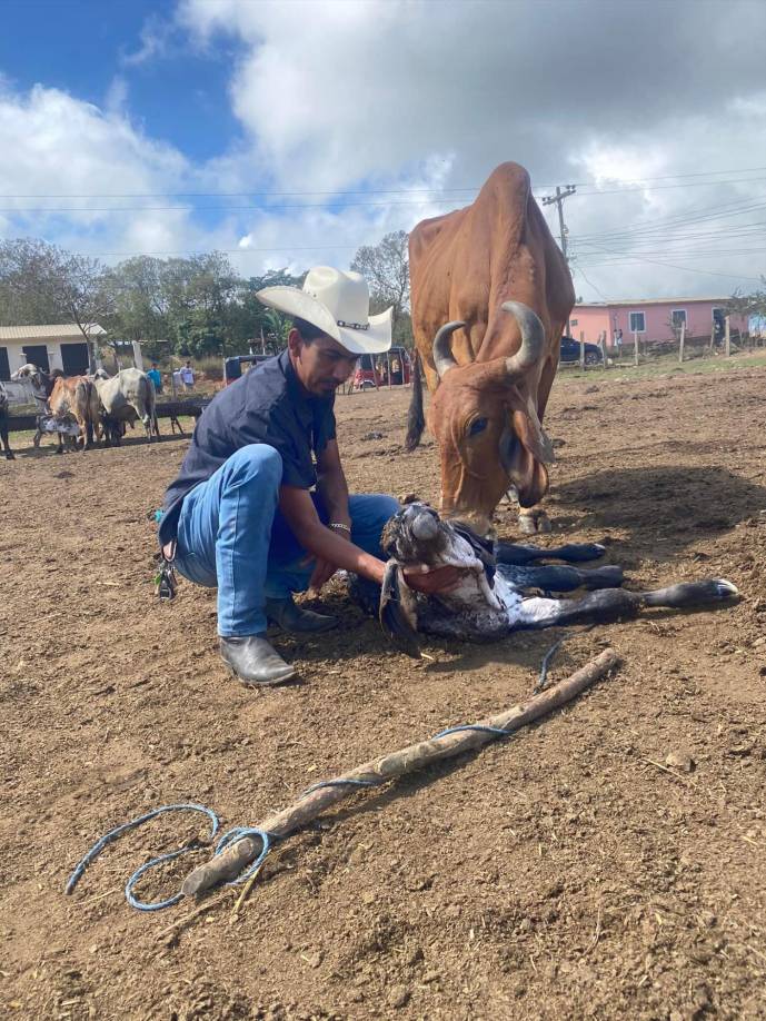 ”Era una persona humilde que ayudaba a los demás”, escribió una persona que lamentó su asesinato.