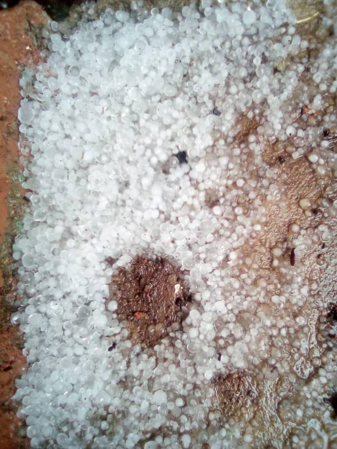 En otras casa, el hielo invadió totalmente el patio y se plasmó en el suelo como si de nieve se tratara.