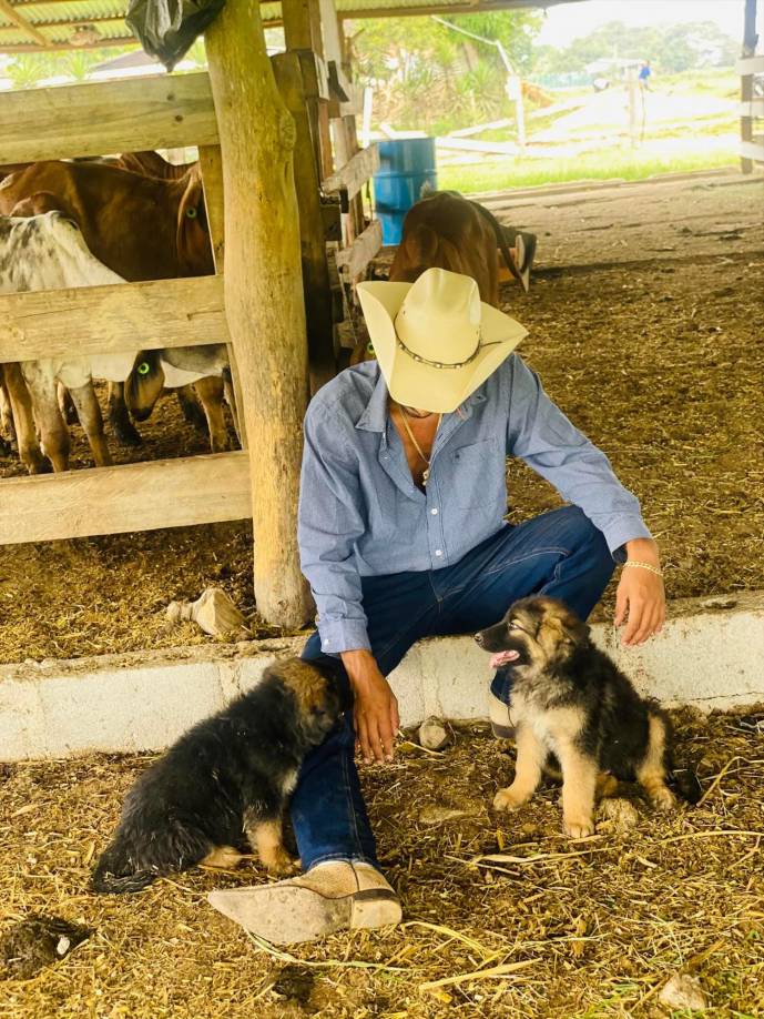 En el estado se ve al ganado moverse libremente por una extensa y muy verde propiedad.