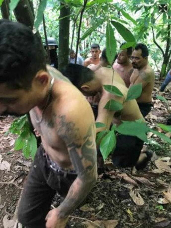 Al momento de la detención se constató que tenían en su poder 11 armas de fuego de grueso calibre, las cuales fueron decomisadas en calidad de evidencia constitutiva de varios delitos.