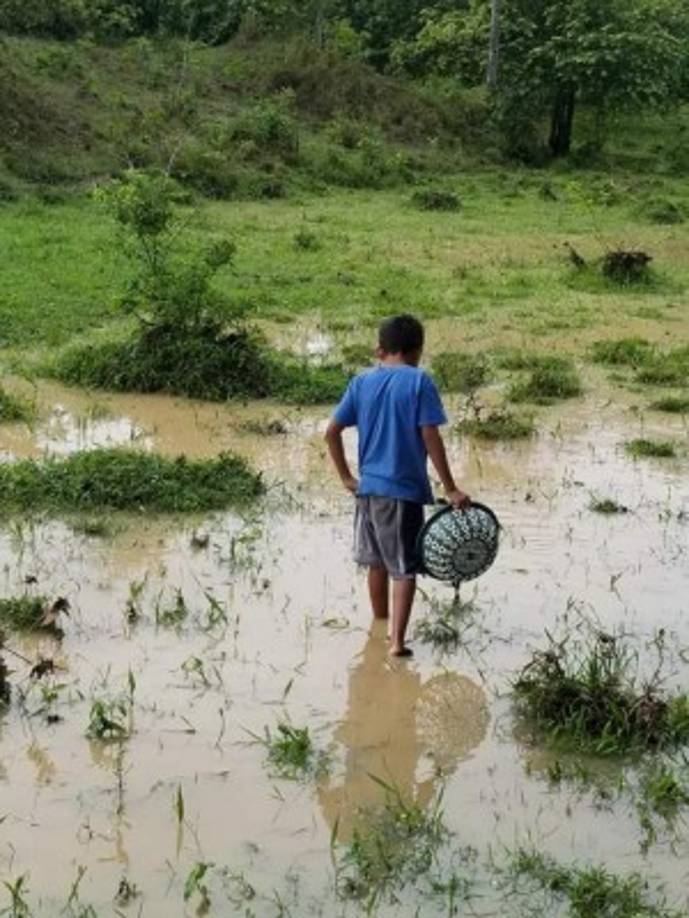 El niño -nombre no especificado- recoge peces después de una tormenta.