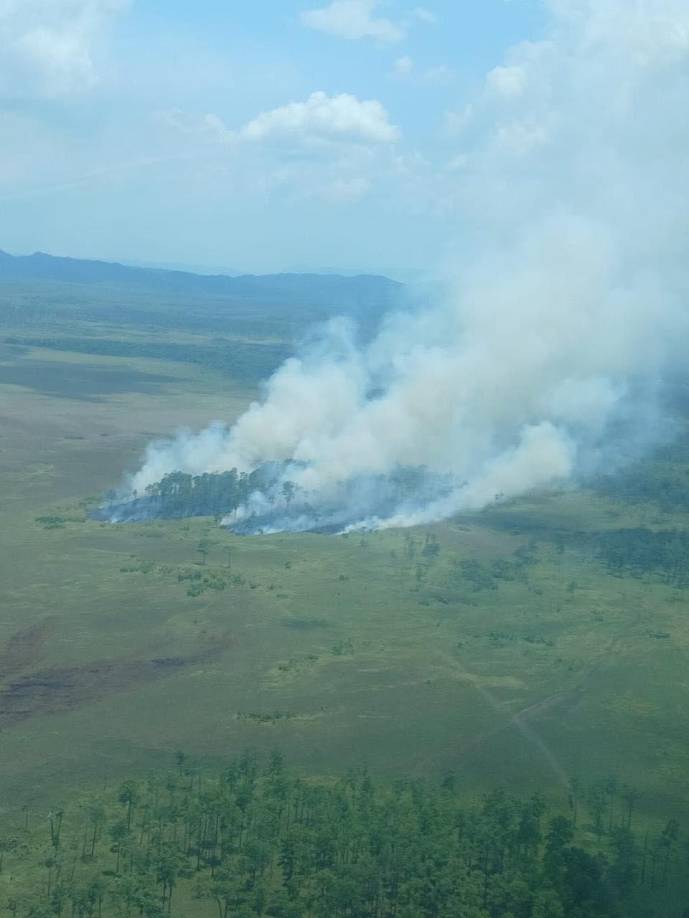 Cabe mencionar que, la Biosfera del Río Plátano es el segundo pulmón ambiental de Honduras 