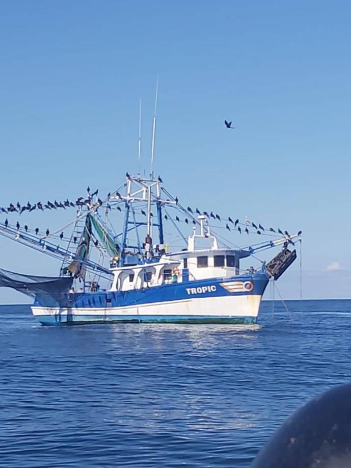 Los bienes considerados de origen ilícito fueron identificados en los departamentos de Cortés, Atlántida e Islas de la Bahía, donde resalta el aseguramiento de una suntuosa propiedad en Upper Long, Cayos Cochinos, Roatán.