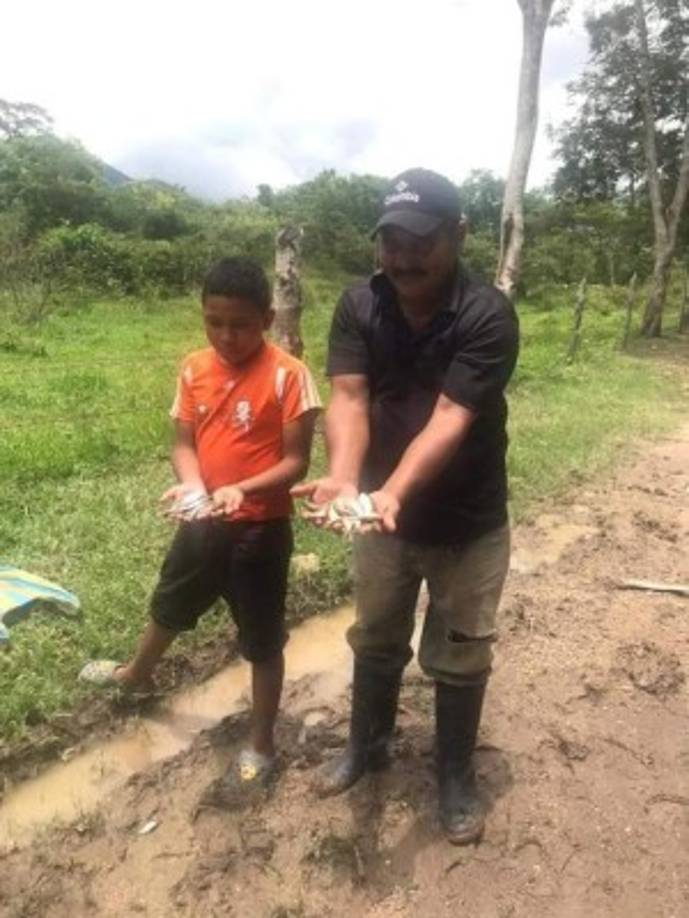 Hace más de un siglo se registran los primeros relatos del fenómeno exclusivo del departamento de Yoro. Según describen, el cielo se osurece con nubes densas; después, truenos y relámpagos invaden la región, previo a un lluvia profusa de entre 3 a 4 horas. <br/><br/>
