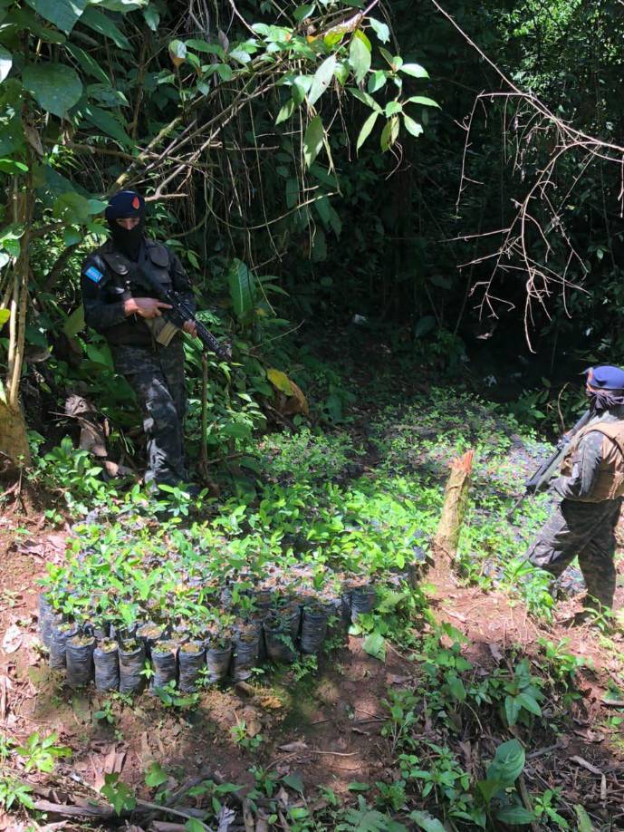 El hallazgo ocurre un día después de que más de 200 kilogramos de supuesta cocaína fueran decomisados en la aldea El Castillo del mismo departamento de Colón.