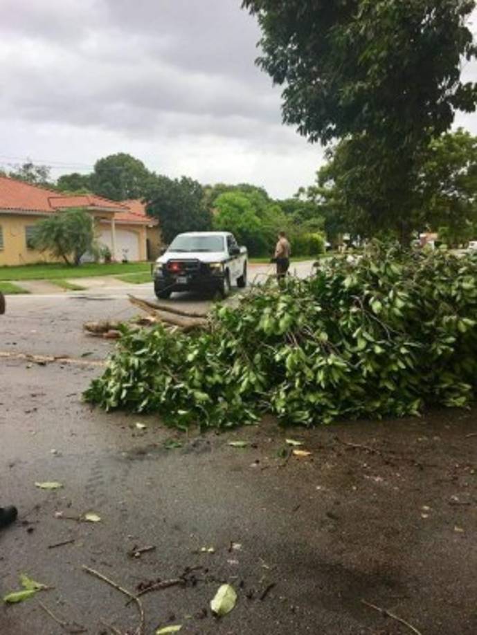 Los organismos de socorros atendieron algunas emergencias antes de la llegada del huracán Irma a Florida.