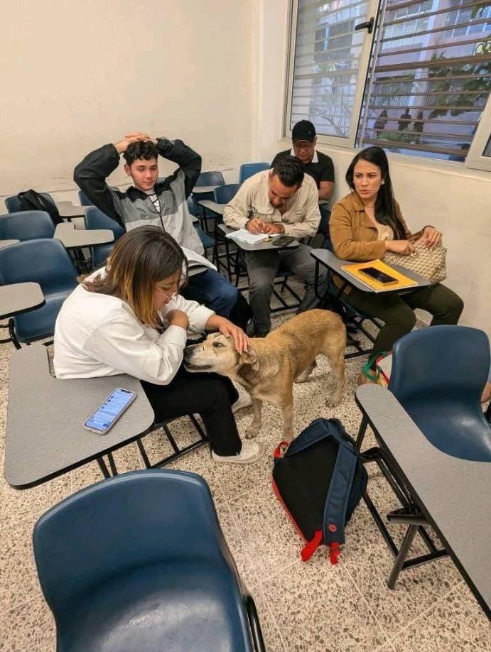 Esta organización cuenta con más de 50 voluntarios, quienes también trabajan en conjunto con los centros regionales para un mayor alcance. Asimismo hay muchos estudiantes y docentes que se unen de forma indirecta con sus acciones que sirven para lograr el bienestar de los animales que deambulan por el campus. 