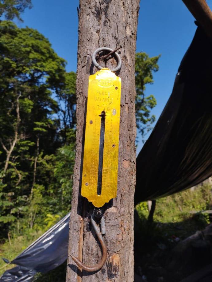 Esta báscula también fue encontrada en el lugar.