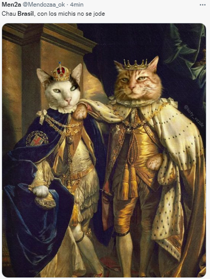 Los memes destrozan a Brasil tras eliminación: “La maldición del gato”