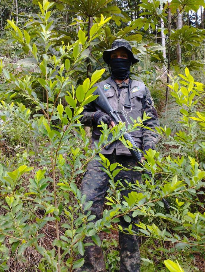 Se georeferencio el área dañada para recuperar la flora y fauna del sector.