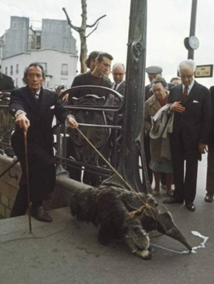 Dalí tenía un oso hormiguero como mascota y lo sacaba a pasear por las calles de París. Foto:culturacolectiva.com